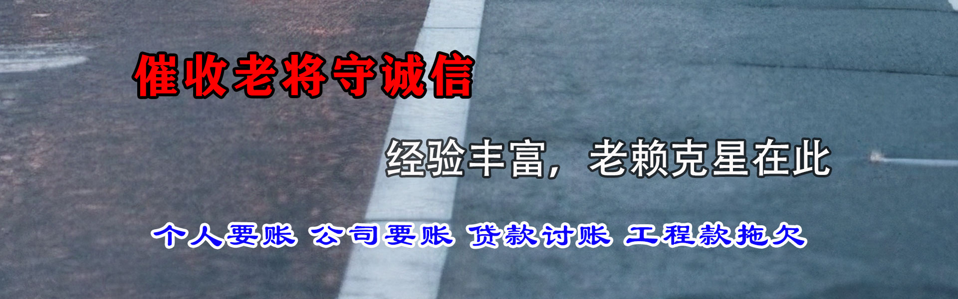 巴东清债公司